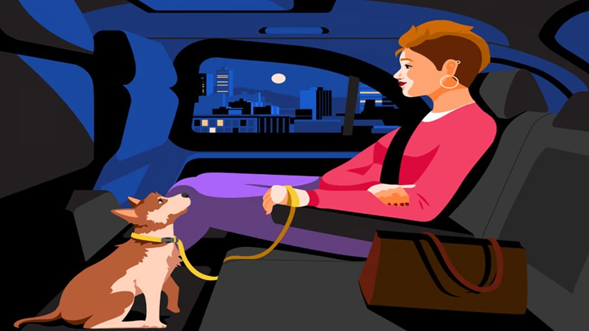 Uber Pet Announced in Mumbai For travel with your pet