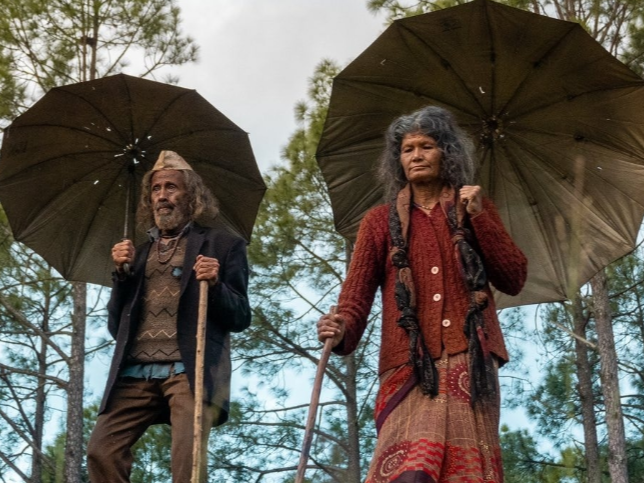 The pain of migration will be seen in the film ‘Pyre’ | फिल्म ‘पायर’ में दिखेगा पलायन का दर्द: विनोद कापड़ी के निर्देशन में बनी है फिल्म; डायरेक्टर को जंगल में लकड़ी काटते मिली एक्ट्रेस