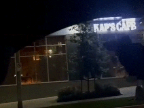 Kapil Sharma Cafe Firing Update ; BKI Clarification Letters | Canada | पंजाब में बब्बर खालसा की सफाई: कपिल शर्मा को धमकी देने वालों से किया किनारा, कहा-हमारे नाम पर उगाही सिख सिद्धांतों के खिलाफ – Amritsar News